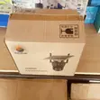 4G Solar CCTV Camera with Panel - Outdoor Security - 5