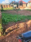 Plot for Sale in Buloba Near Ivory International - 1