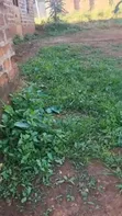 Plot for Sale in Buloba Near Ivory International - 4