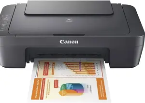 Canon PIXMA MG2541S All-in-One Printer, Grey