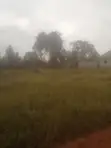 Land for Sale at Gayaza Ngalami - 50x100ft with Title - 1