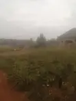 Land for Sale at Gayaza Ngalami - 50x100ft with Title - 3