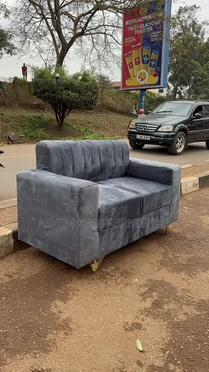 Luxury 2 Seater Sofa Set