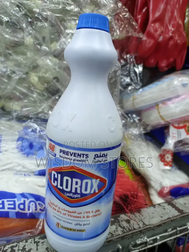 Clorox Liquid Bleach - 1