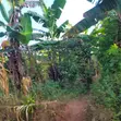 5 Acres of Land for Sale - Kiwenda Nazareth - 2