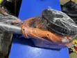 INGCO Dry Wall Sander with Dust Bag - 5
