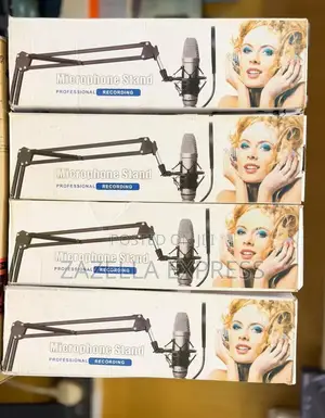 VS05 Professional Microphone Boom Arm Desk Mount