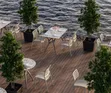 Antares Plastic Dining Chairs (Set of 4) - 1