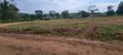Kakiri Nampunge Plots with Ready Titles - 4