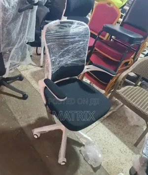 Ergonomic Master Office Chair - Brand New