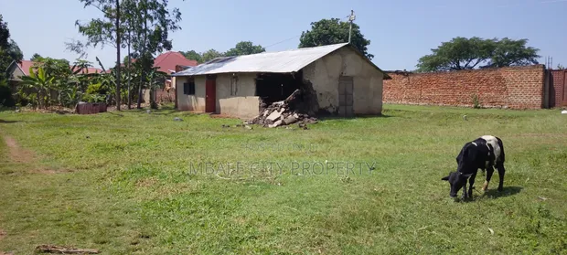 Plot for Sale in Bugema, Mbale City - 60x80ft - 1