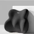 Ergonomic Lumbar Support Pillow - Memory Foam Back Cushion - 2