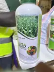 Lima Organic Fertilizer - Natural Soil Booster - 3
