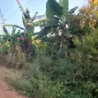 Commercial Land for Sale - Kisasi - 2