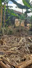 3 Bedroom House for Sale in Matugga, Division A - 5