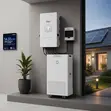 14.33kWh Dyness Battery & 8kW Deye Solar System Package - 1