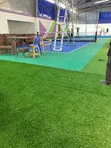 Viny Green Grass Carpet - 2