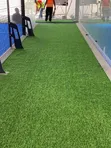 Viny Green Grass Carpet - 4