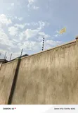 Electric Fencing Installation - Home Security - 1