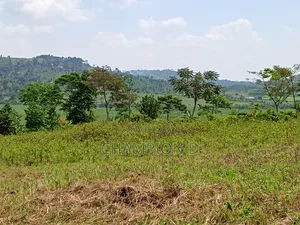 Nkonkojeru Estates Land for Sale