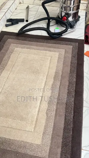 Professional Carpet Cleaning Services