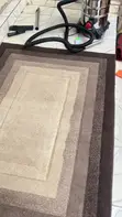 Professional Carpet Cleaning Services - 1