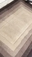 Professional Carpet Cleaning Services - 2