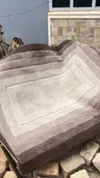 Professional Carpet Cleaning Services - 4
