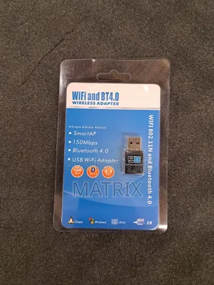 2-in-1 WiFi & Bluetooth 4.0 Wireless Adapter