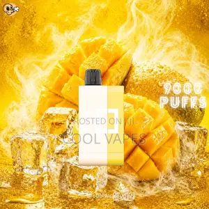 Elf Bar Pw9000 Puffs Vape Kit
