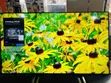 Samsung 65" Du7000 Smart TV - 2