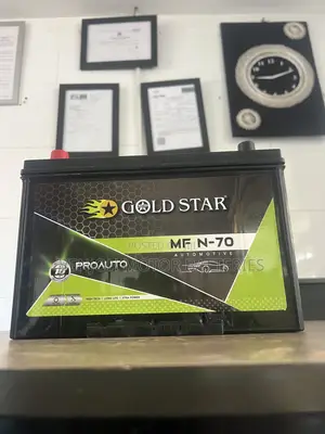 N70 Maintenance-Free Gold Star Car Battery