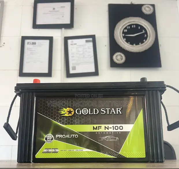 N100 Gold Star Car Battery - 1