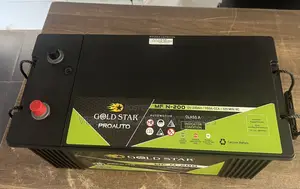 N200 Maintenance Free Battery