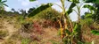 Plot for Sale: 80x130 Ft in Zirobwe Wakatayi - UGX 20M - 1