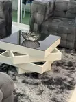 Modern Glass Top Center Table - 1
