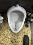 Premium Wall Hung Urinal Bowl | Modern & Hygienic - 3
