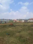 Land for Sale at Kigoma Sentema Road (50x100) - 2