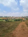 Land for Sale at Kitetika Masoli, Gayaza Road (50x100ft) - 1