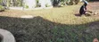 Grass Laying & Lawn Services by KAZ COMPOUND SERVICES - 2