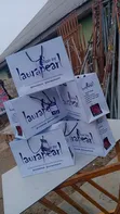 Paper Bags and Gift Bags - Custom Design Available - 3
