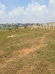 Land for Sale in Matuga, Kigogwa - 1