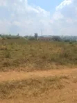 Land for Sale in Matuga, Kigogwa - 2