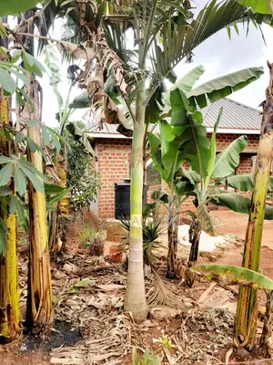 Land for Sale - Nazigo, Kayunga-Jinja Road