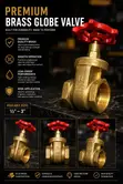 Premium Pegler Brass Gate Valve (Made in England) - 1