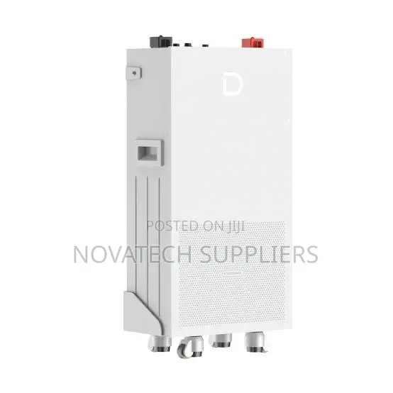 Dyness 14.3kWh Lithium Battery with Smart BMS - 1