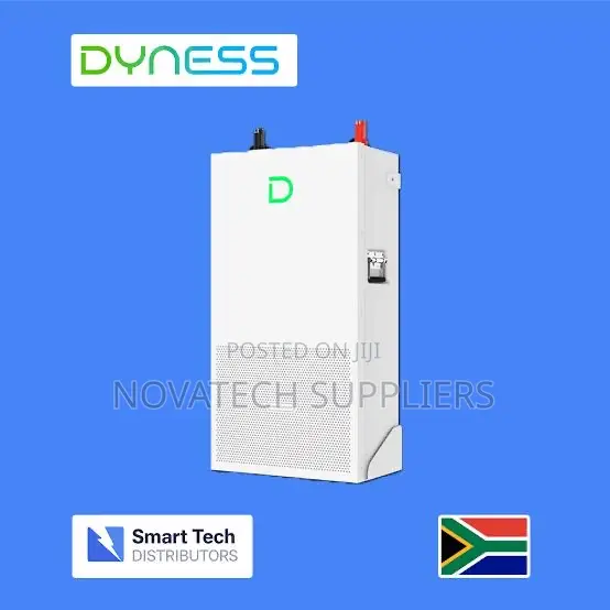 Dyness 14.3kWh Solar Storage Battery 280Ah - 1