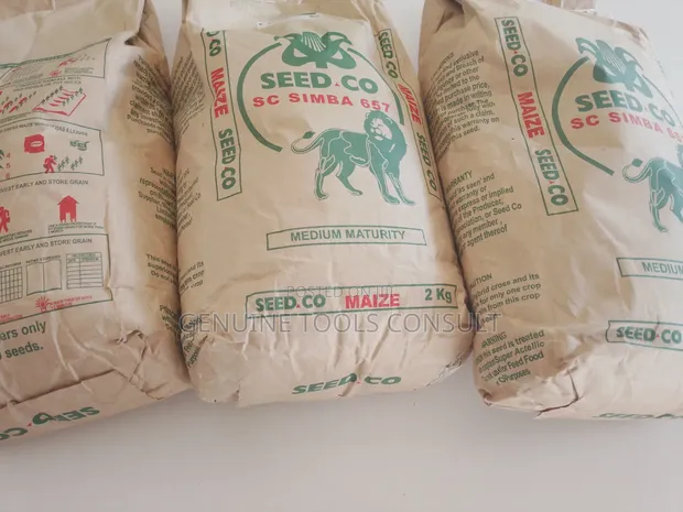 Simba Lion SC657 Maize Seeds - 1