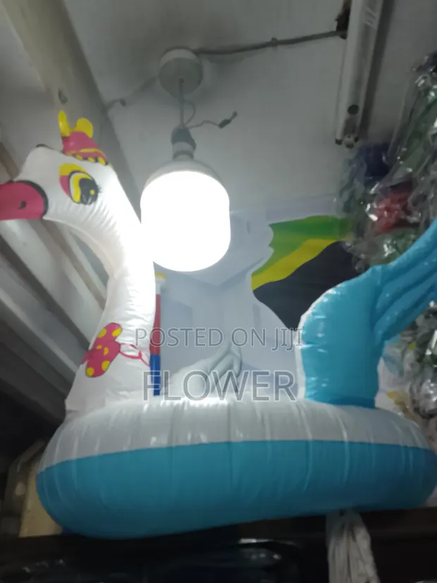 Swimming Boat - 1