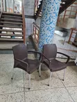Botanical Plastic Chairs - 2